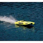 Miss GEICO 29 BL Catamaran 2.4 RTR V2