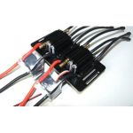 Dual Fiberglass Mount for Seaking 180 V3 Esc