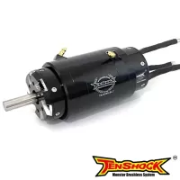 Tenshock Evo 2880  (53mm x 119mm long)